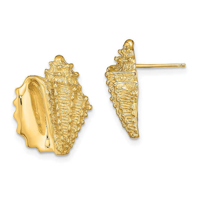14k Yellow Gold Seashell Stud Earrings, Conch Shell Marine Life Coastal Style