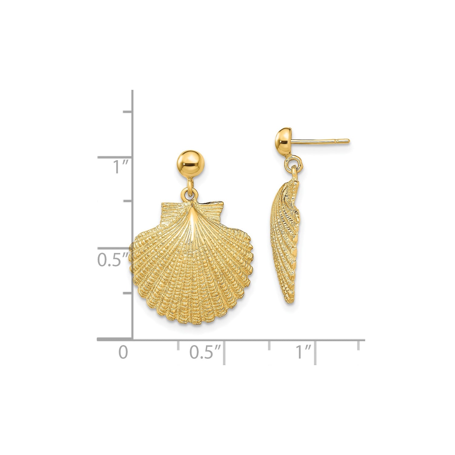 14k Yellow Gold Scallop Sea Shell Dangle Earrings, Nautical Ocean Style for Women