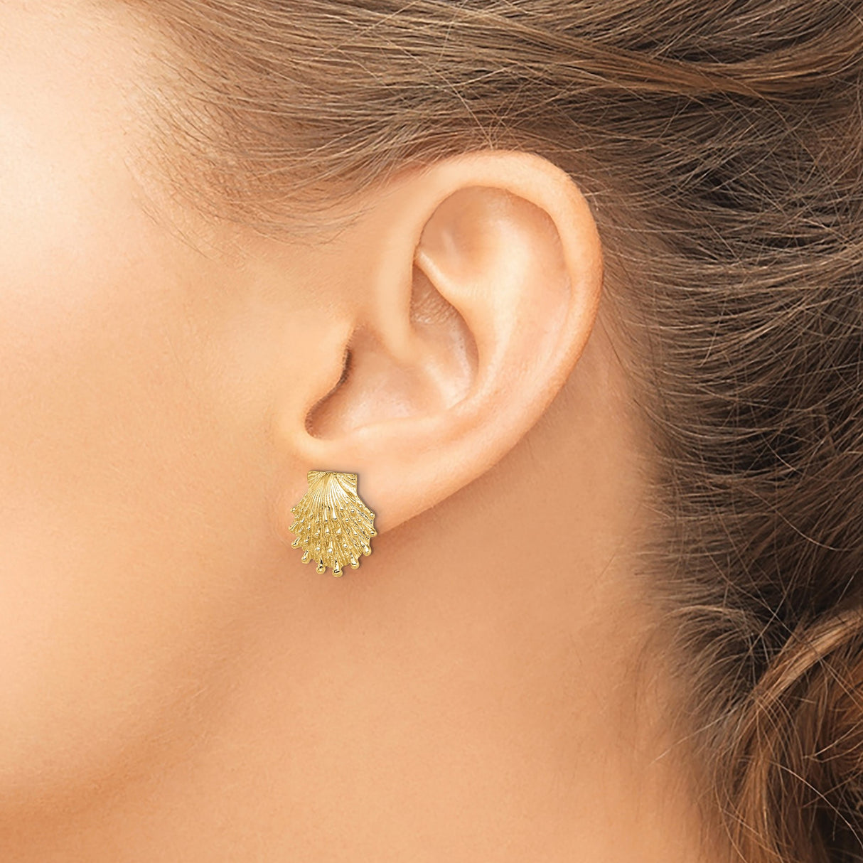 14k Yellow Gold Scallop Shell Stud Earrings, Textured Coastal Design, Marine Motif, Christian Symbol