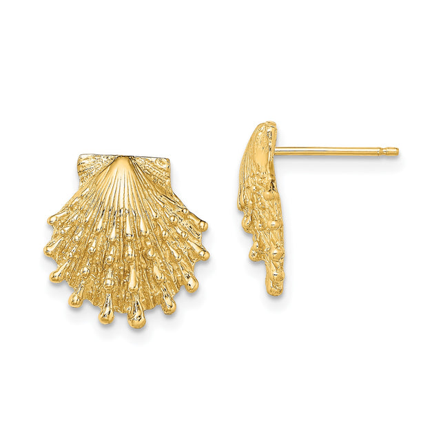 14k Yellow Gold Scallop Shell Stud Earrings, Textured Coastal Design, Marine Motif, Christian Symbol