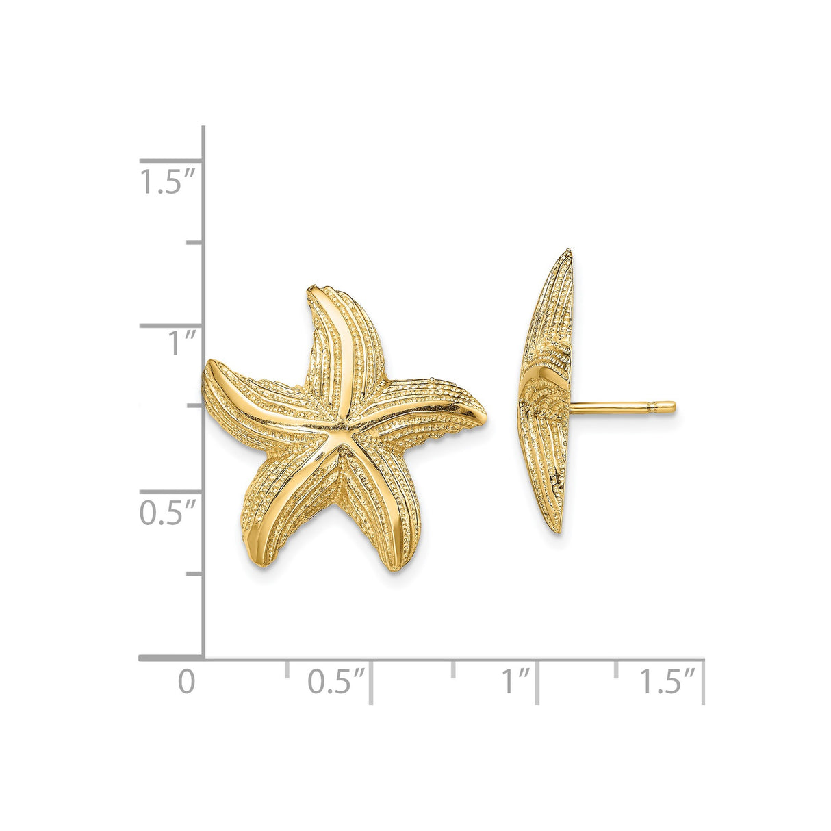 14k Yellow Gold Starfish Stud Earrings, Textured Nautical Beach Style for Women