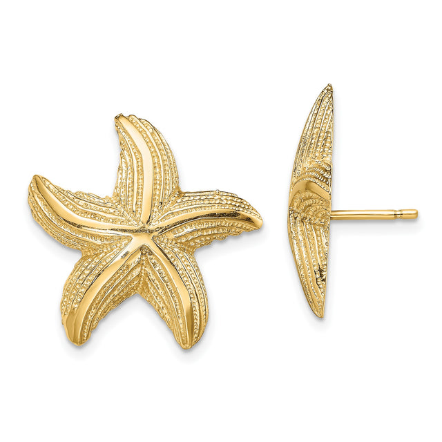14k Yellow Gold Starfish Stud Earrings, Textured Nautical Beach Style for Women