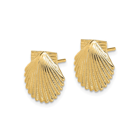 14k Yellow Gold Seashell Stud Earrings, Scallop Shell Coastal Design for Women
