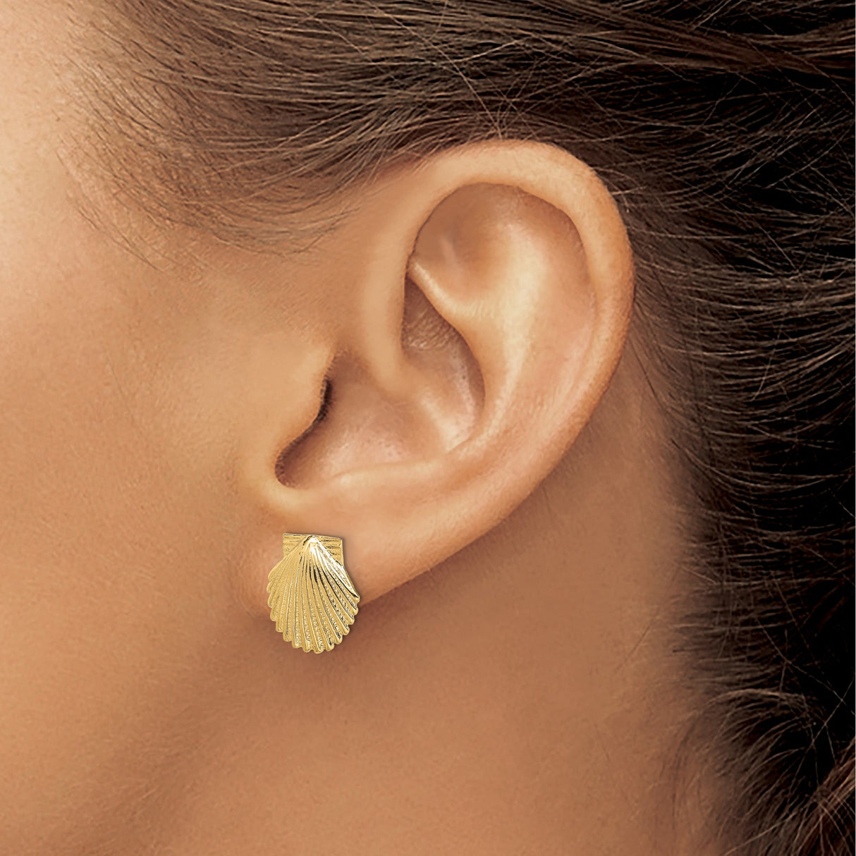 14k Yellow Gold Seashell Stud Earrings, Scallop Shell Coastal Design for Women