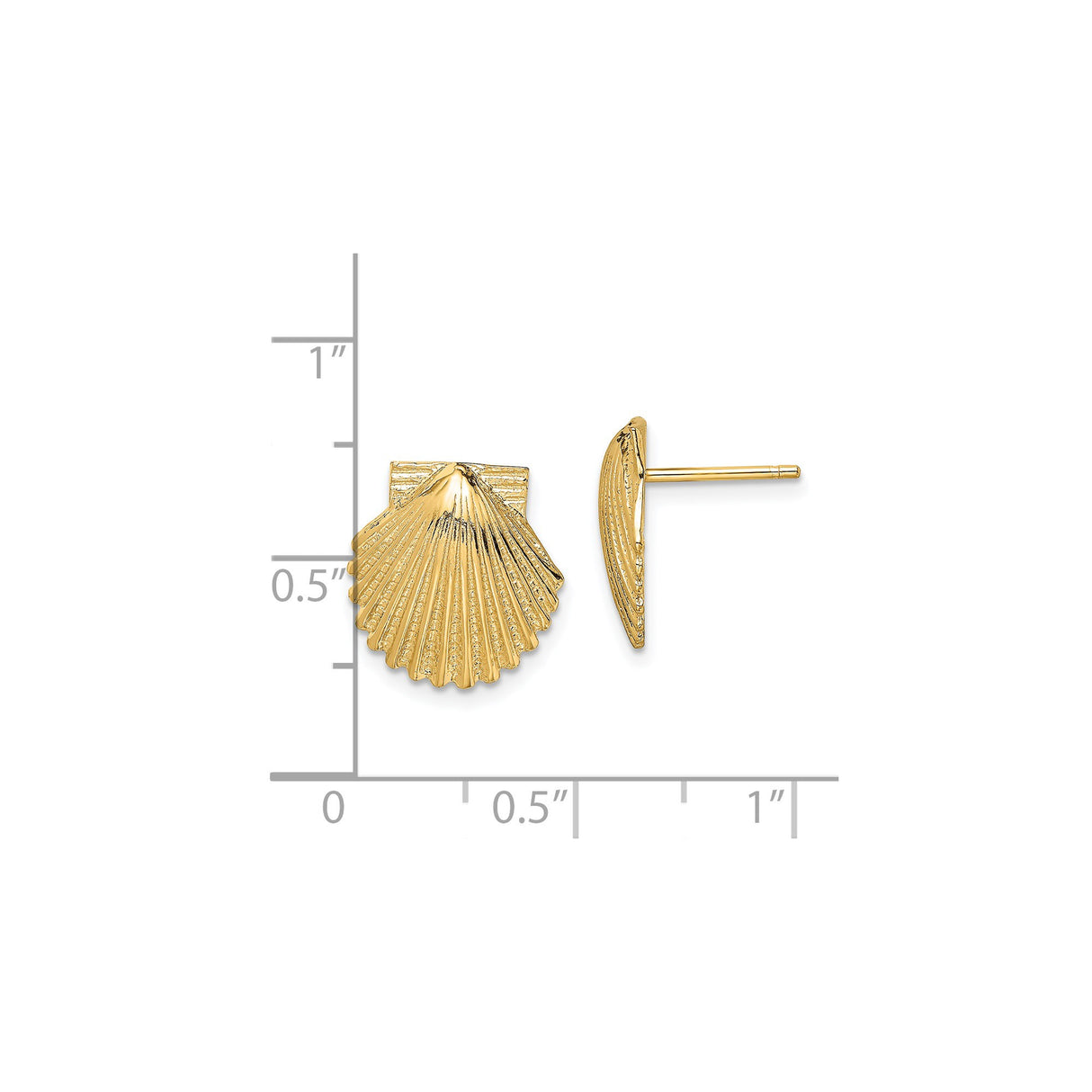 14k Yellow Gold Seashell Stud Earrings, Scallop Shell Coastal Design for Women