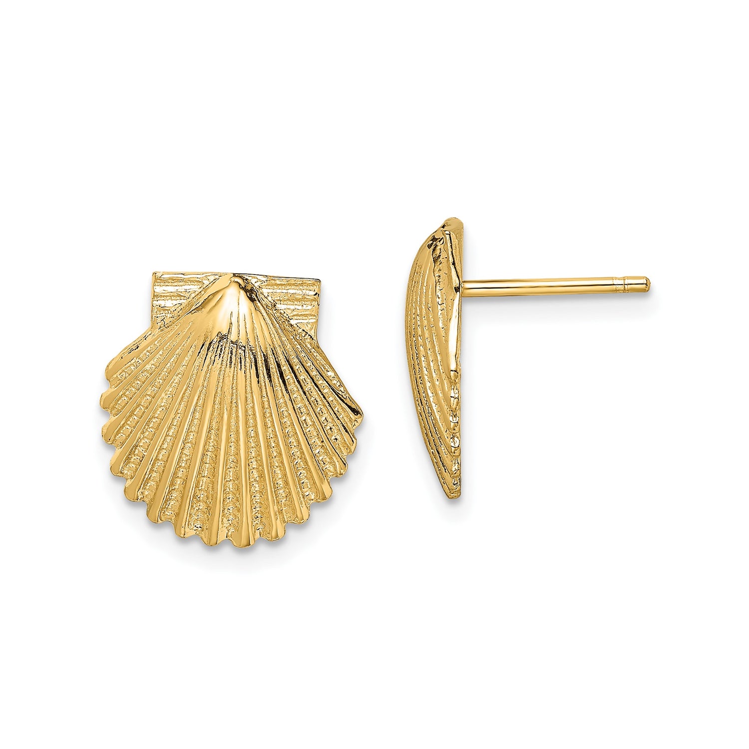 14k Yellow Gold Seashell Stud Earrings, Scallop Shell Coastal Design for Women