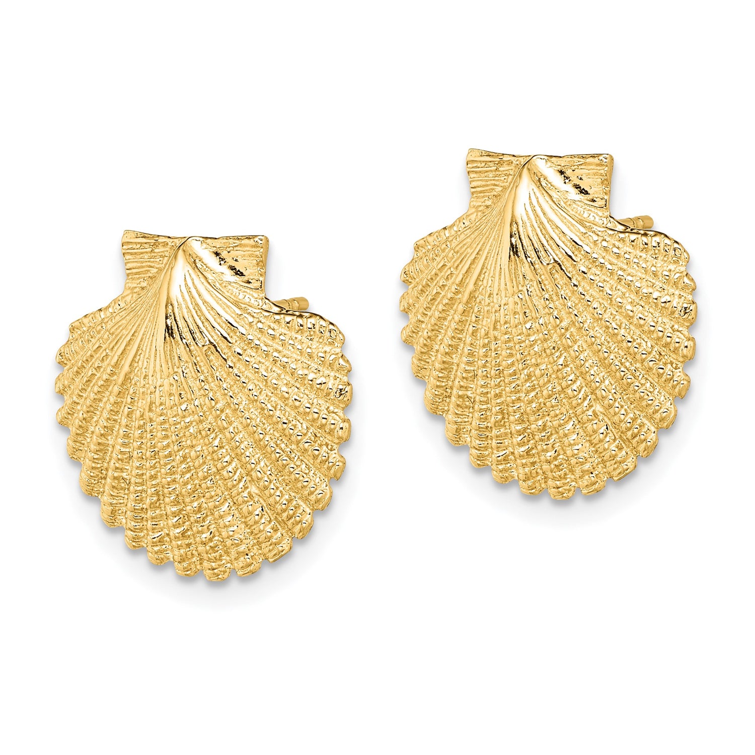 14k Yellow Gold Seashell Stud Earrings, Textured Scallop Shell Nautical Design for Women