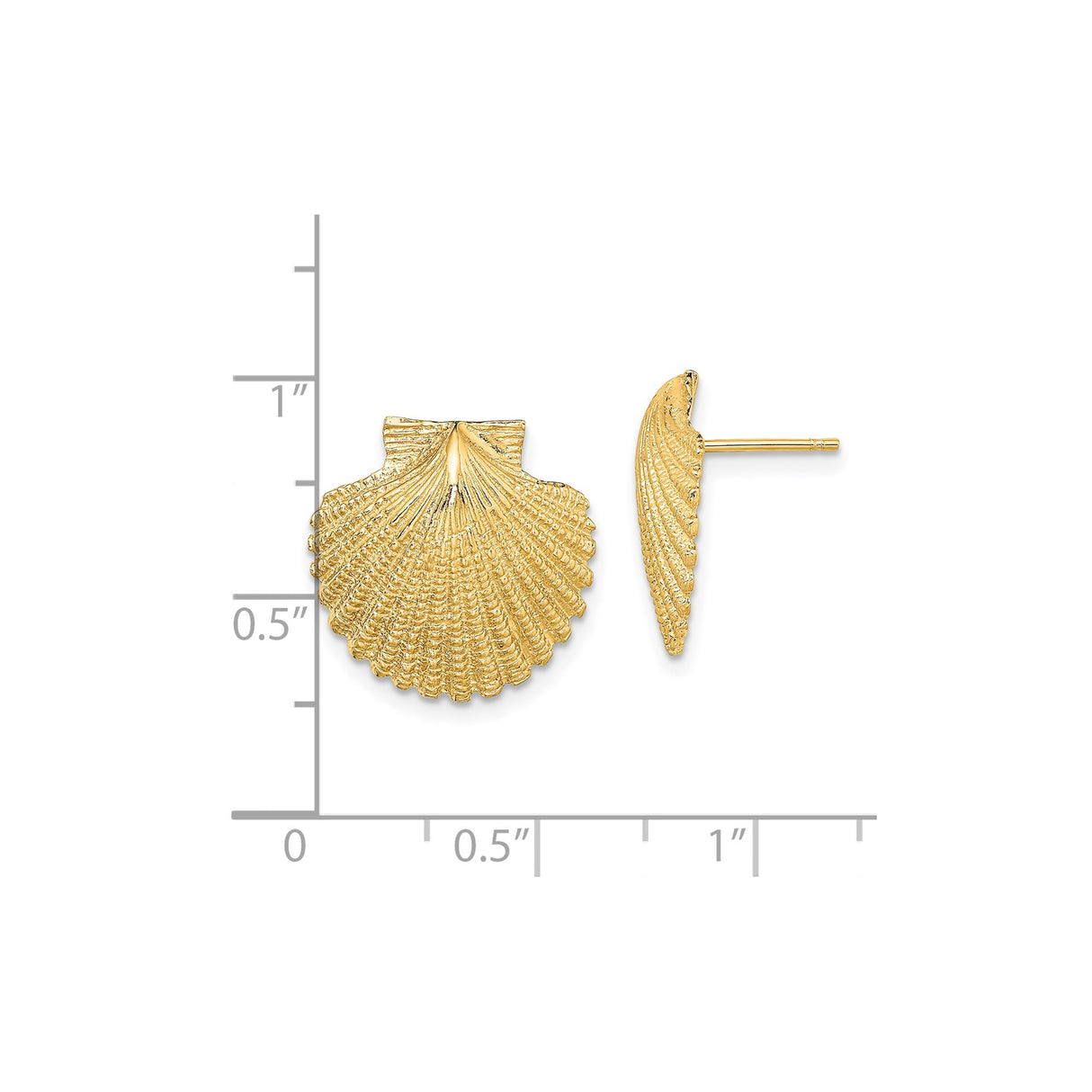 14k Yellow Gold Seashell Stud Earrings, Textured Scallop Shell Nautical Design for Women