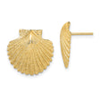14k Yellow Gold Seashell Stud Earrings, Textured Scallop Shell Nautical Design for Women