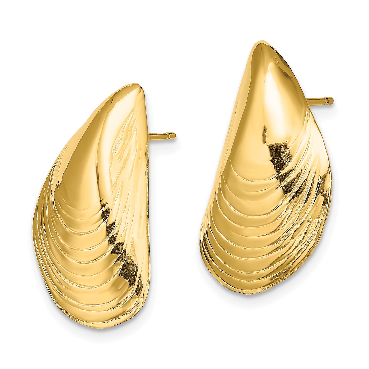 14k Yellow Gold Seashell Stud Earrings, Ocean Motif Coastal Style for Women