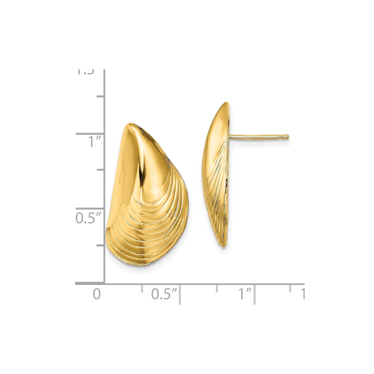 14k Yellow Gold Seashell Stud Earrings, Ocean Motif Coastal Style for Women