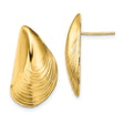 14k Yellow Gold Seashell Stud Earrings, Ocean Motif Coastal Style for Women