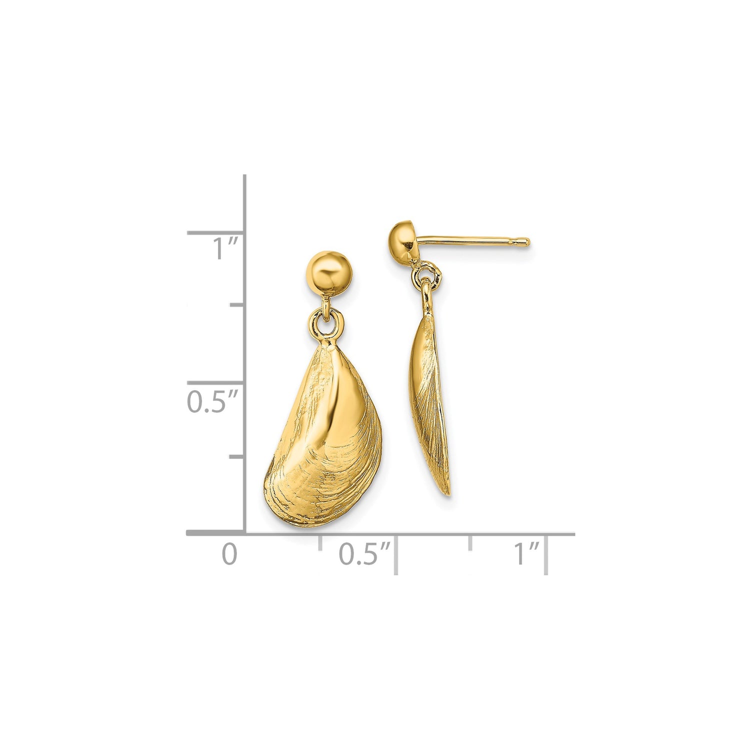 14k Yellow Gold Mussel Shell Drop Earrings, Ocean-Inspired Nautical Design for Women