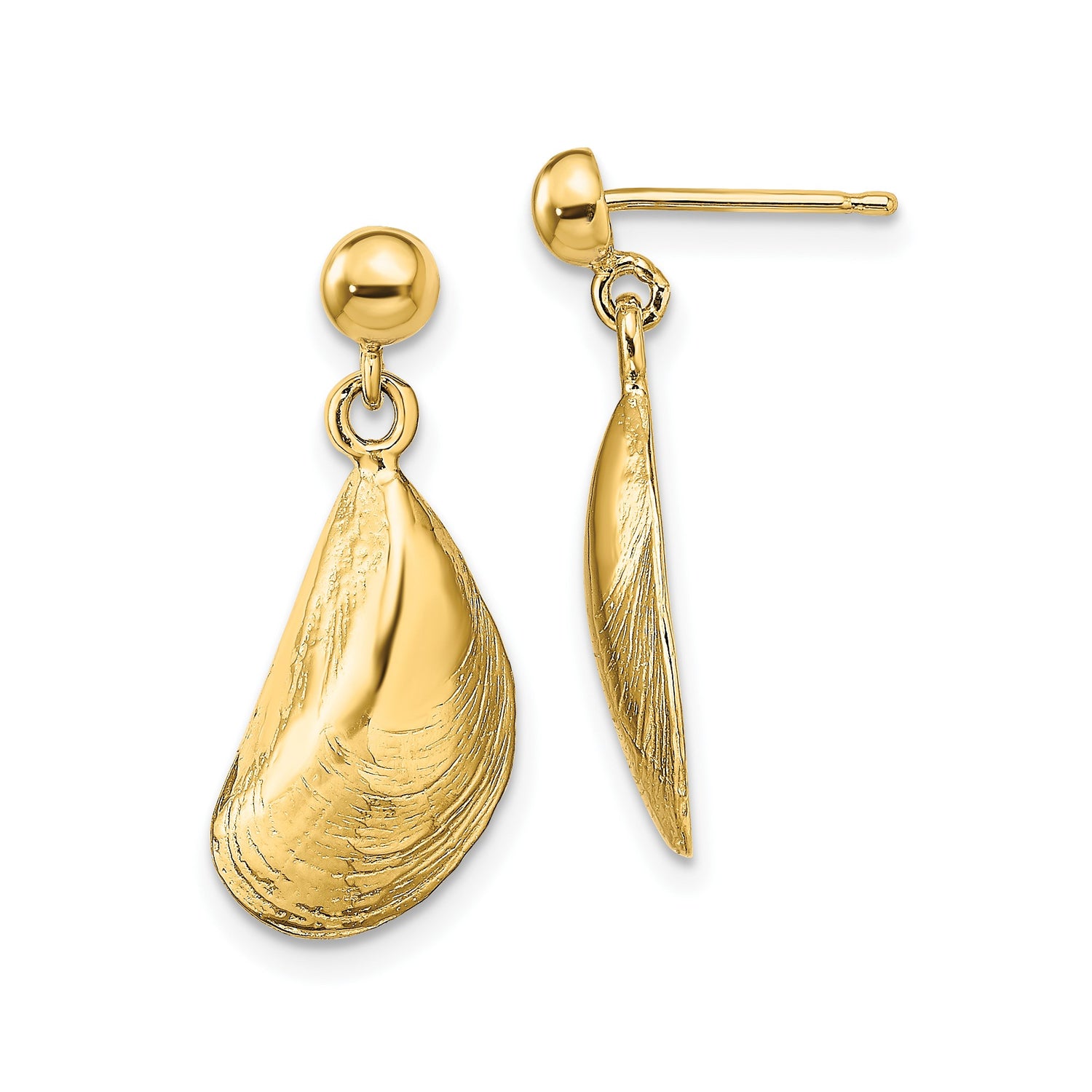14k Yellow Gold Mussel Shell Drop Earrings, Ocean-Inspired Nautical Design for Women