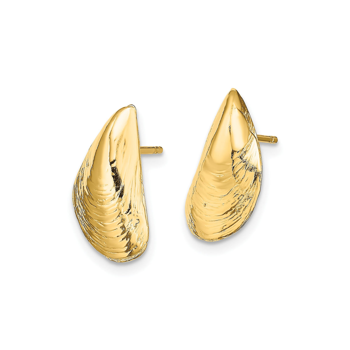 14k Yellow Gold Mussel Shell Stud Earrings, Ocean-Inspired Coastal Nautical Design for Women