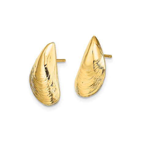 14k Yellow Gold Mussel Shell Stud Earrings, Ocean-Inspired Coastal Nautical Design for Women