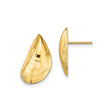 14k Yellow Gold Mussel Shell Stud Earrings, Ocean-Inspired Coastal Nautical Design for Women