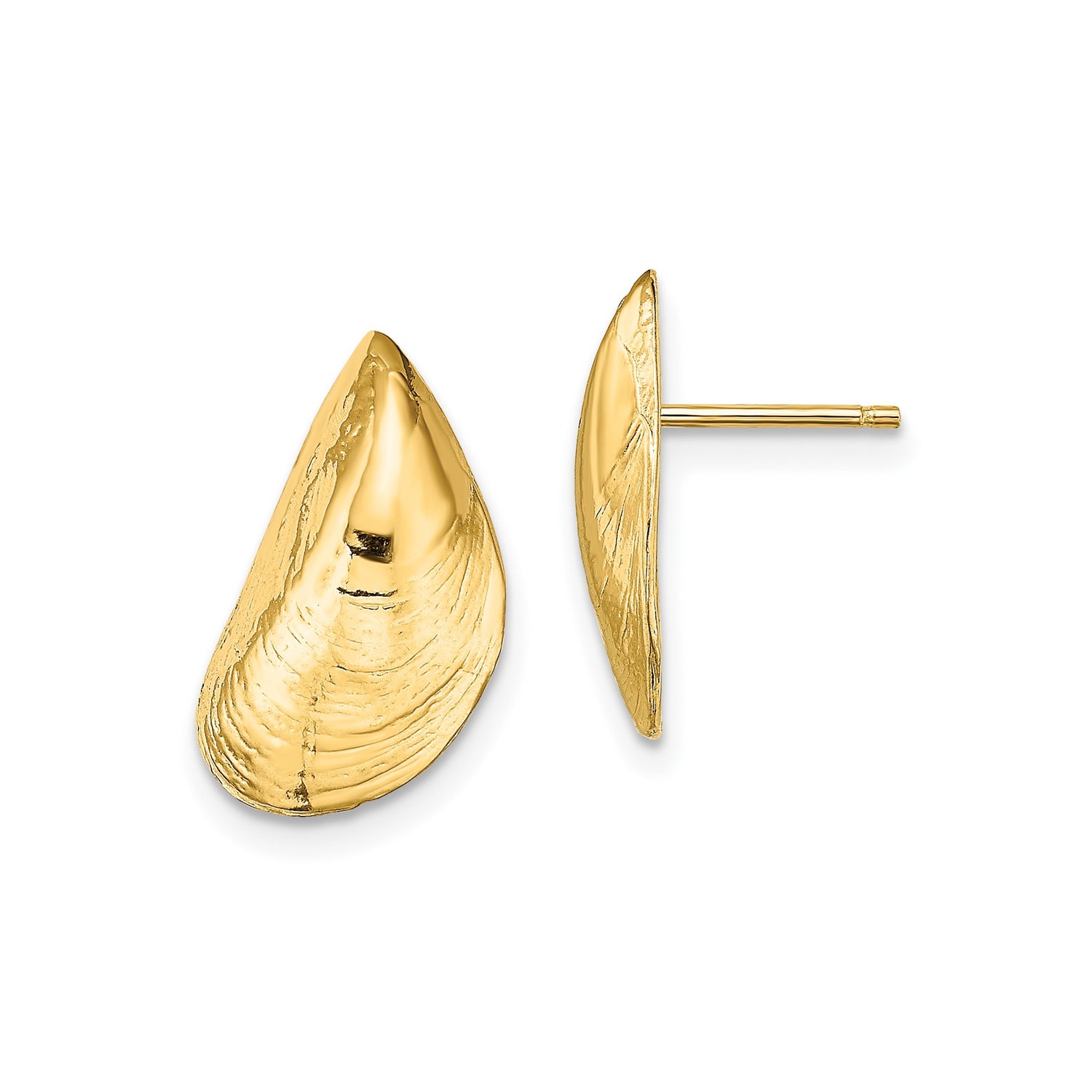 14k Yellow Gold Mussel Shell Stud Earrings, Ocean-Inspired Coastal Nautical Design for Women