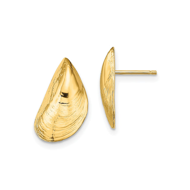 14k Yellow Gold Mussel Shell Stud Earrings, Ocean-Inspired Coastal Nautical Design for Women