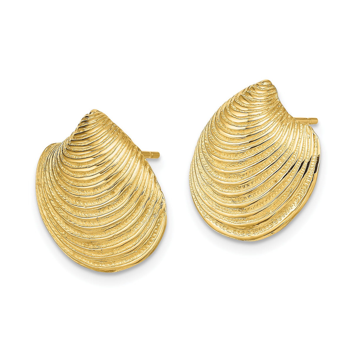 14k Yellow Gold Seashell Stud Earrings with Textured Clam Shell Design, Nautical Coastal Style