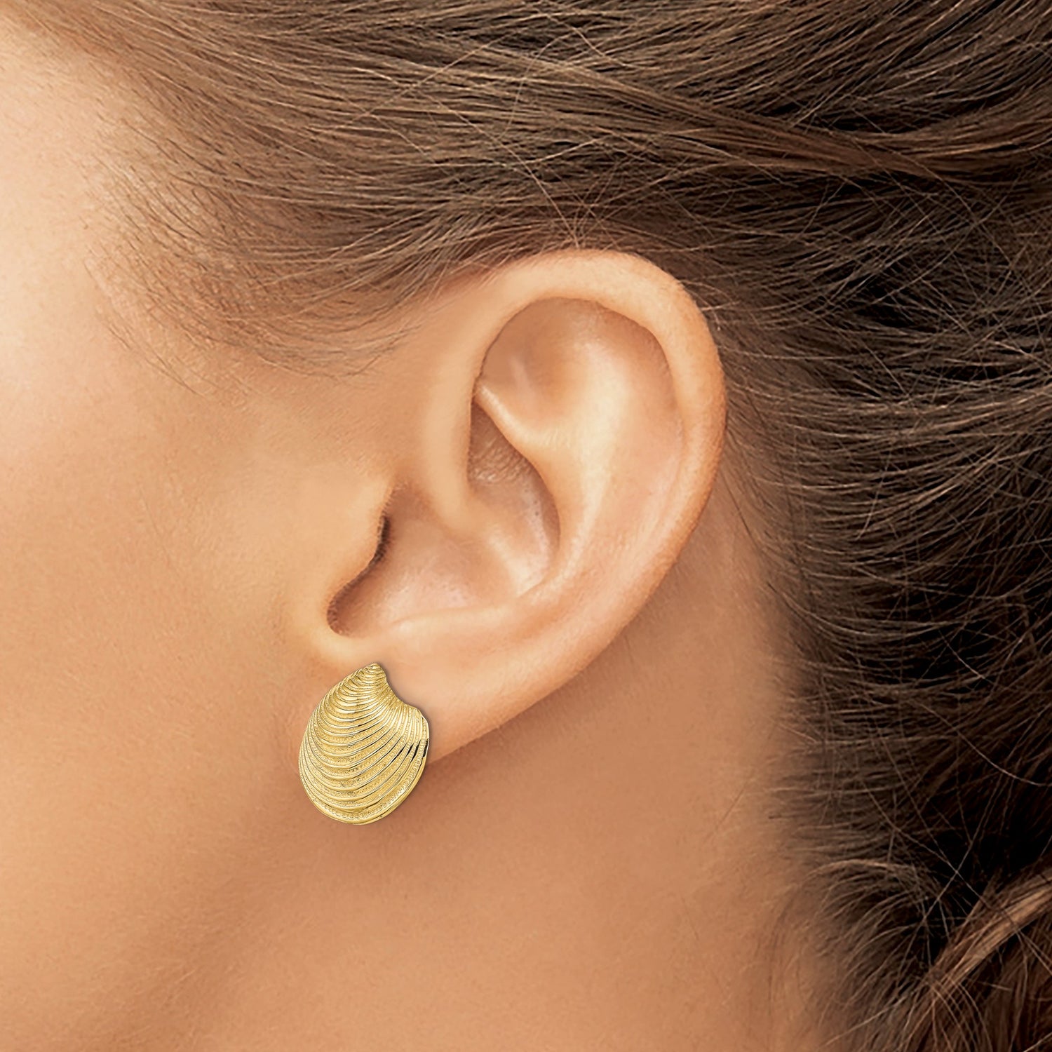 14k Yellow Gold Seashell Stud Earrings with Textured Clam Shell Design, Nautical Coastal Style