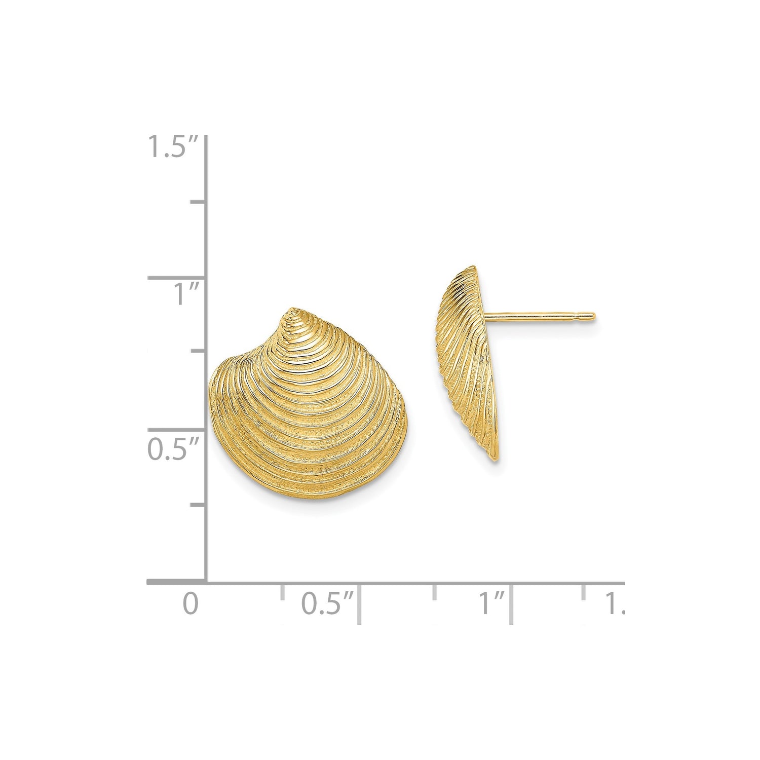 14k Yellow Gold Seashell Stud Earrings with Textured Clam Shell Design, Nautical Coastal Style