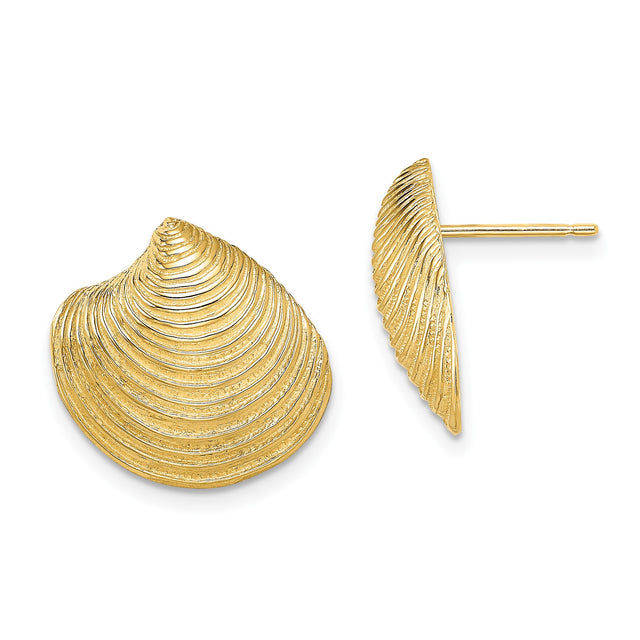 14k Yellow Gold Seashell Stud Earrings with Textured Clam Shell Design, Nautical Coastal Style