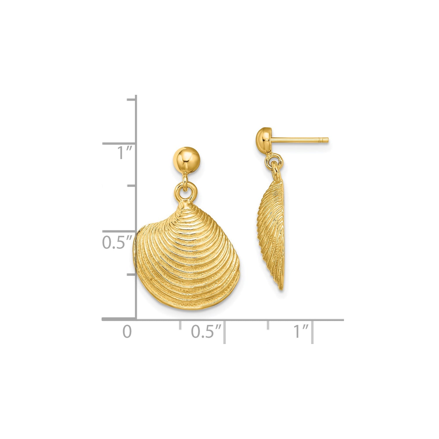 14k Yellow Gold Seashell Drop Earrings with Clamshell Charms, Ocean Inspired Design