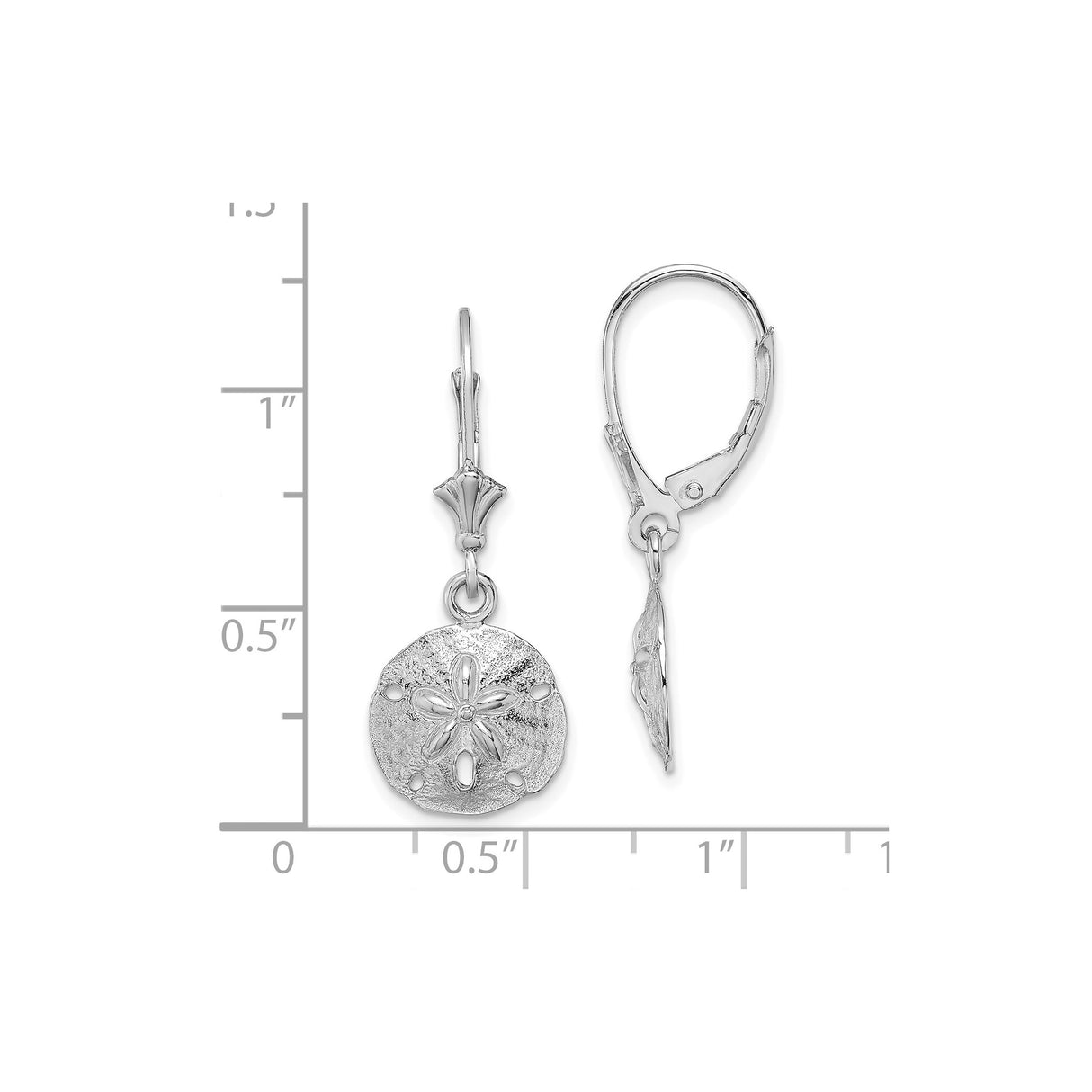 14k White Gold Dangle Earrings with Textured Sand Dollar Design, Coastal Nautical Theme