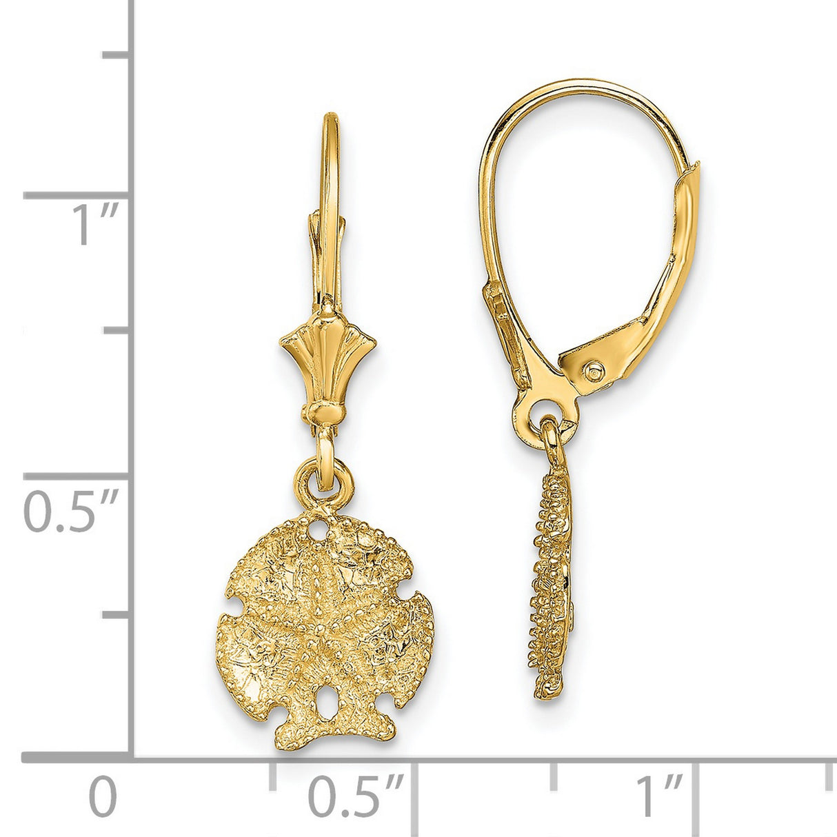 14k Yellow Gold Dangle Earrings with Sand Dollar Design, Nautical Coastal Style for Women