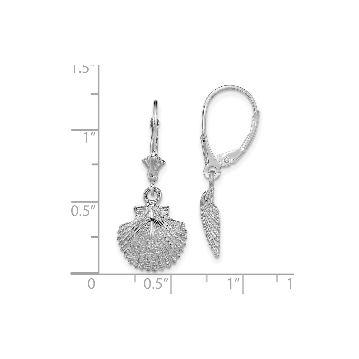 14k White Gold Scallop Shell Dangle Earrings with Fan Design Leverbacks for Women