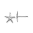 14k White Gold Starfish Stud Earrings, Textured Nautical Design for Women