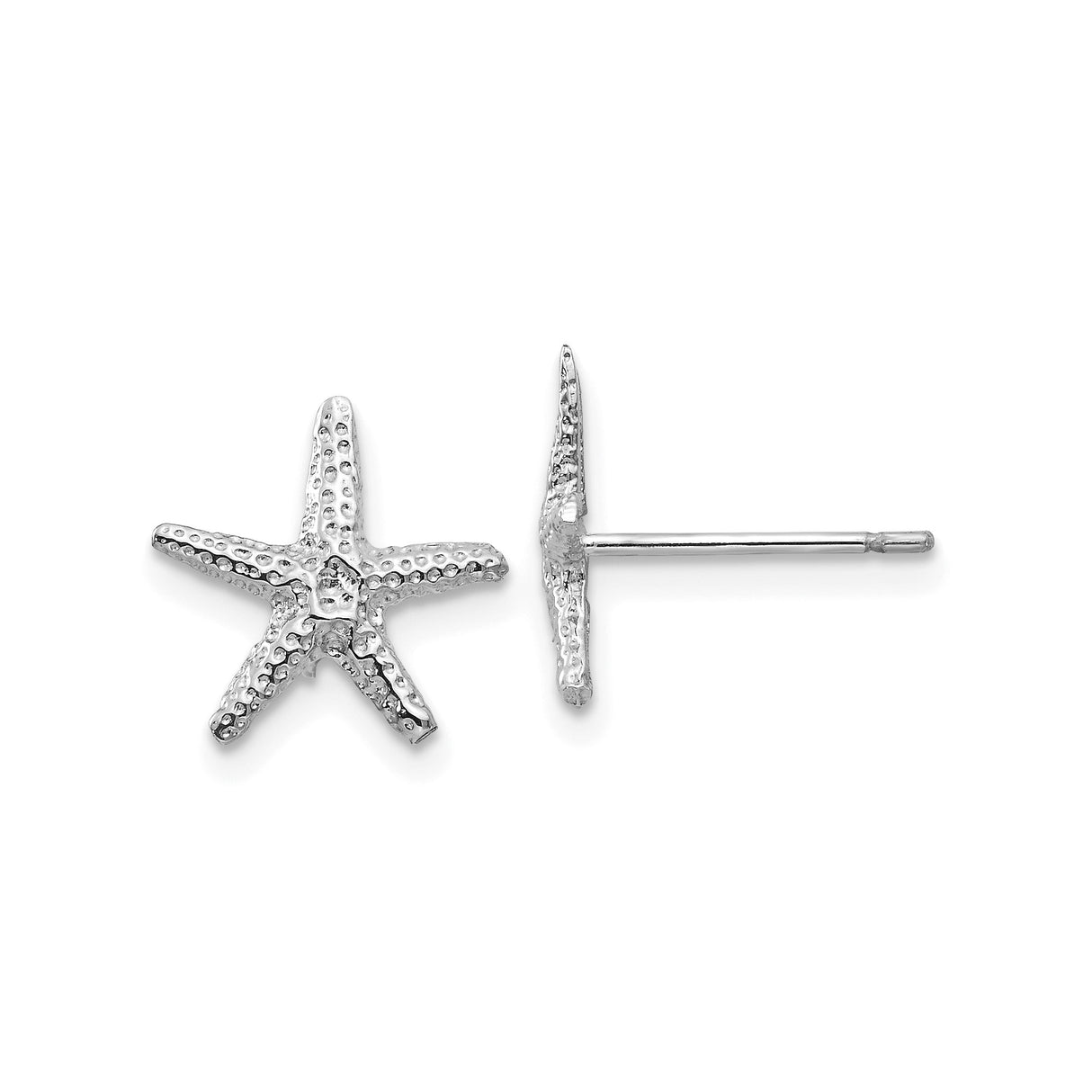 14k White Gold Starfish Stud Earrings, Textured Nautical Design for Women