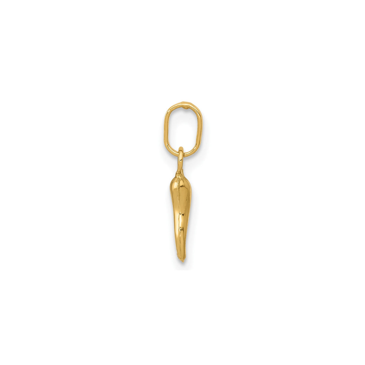 14k Yellow Gold Italian Horn Pendant Charm, Unisex Amulet for Good Luck and Evil Eye Protection