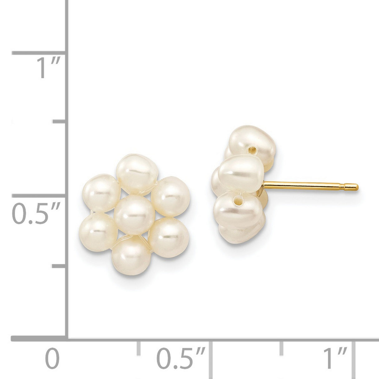 14k Yellow Gold Stud Earrings with White Freshwater Pearls, Floral Cluster Design for Women