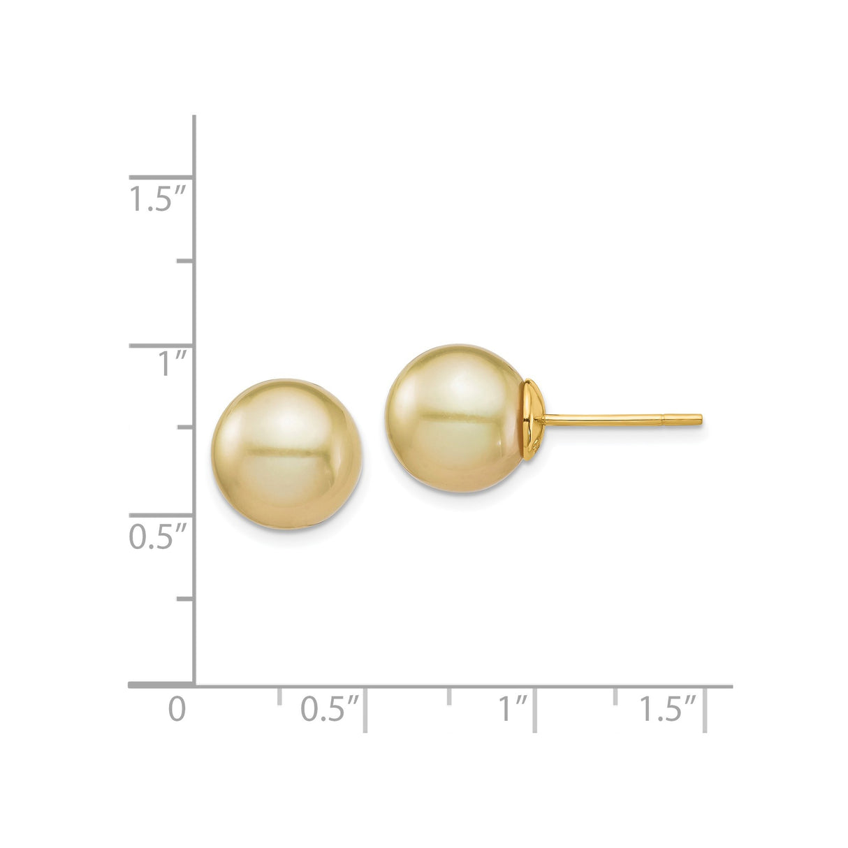 14k Yellow Gold Stud Earrings with Round Golden South Sea Pearls, Classic Design for Women