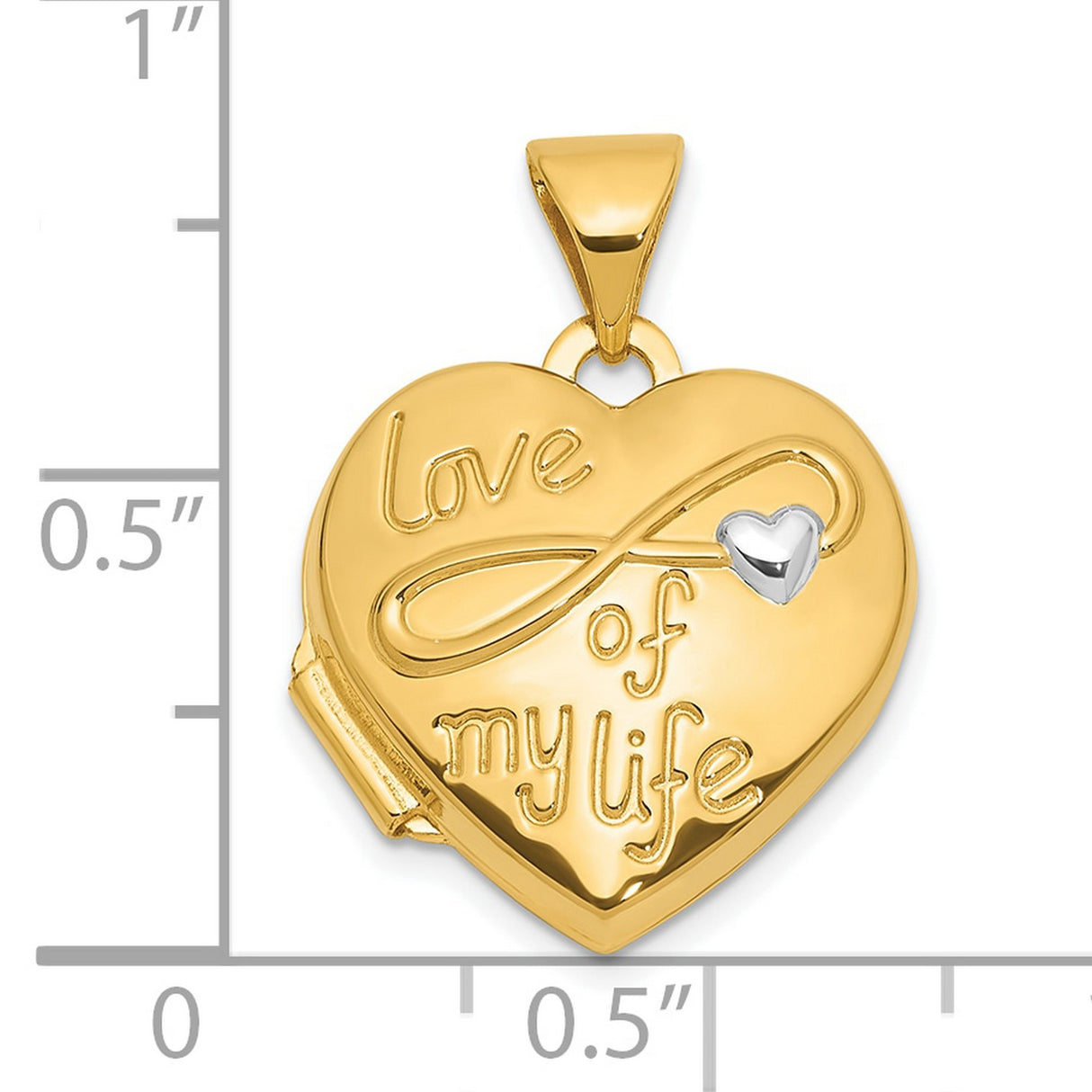 14k Multi-Tone Gold Heart Locket Pendant with Infinity Symbol, Love of My Life Design