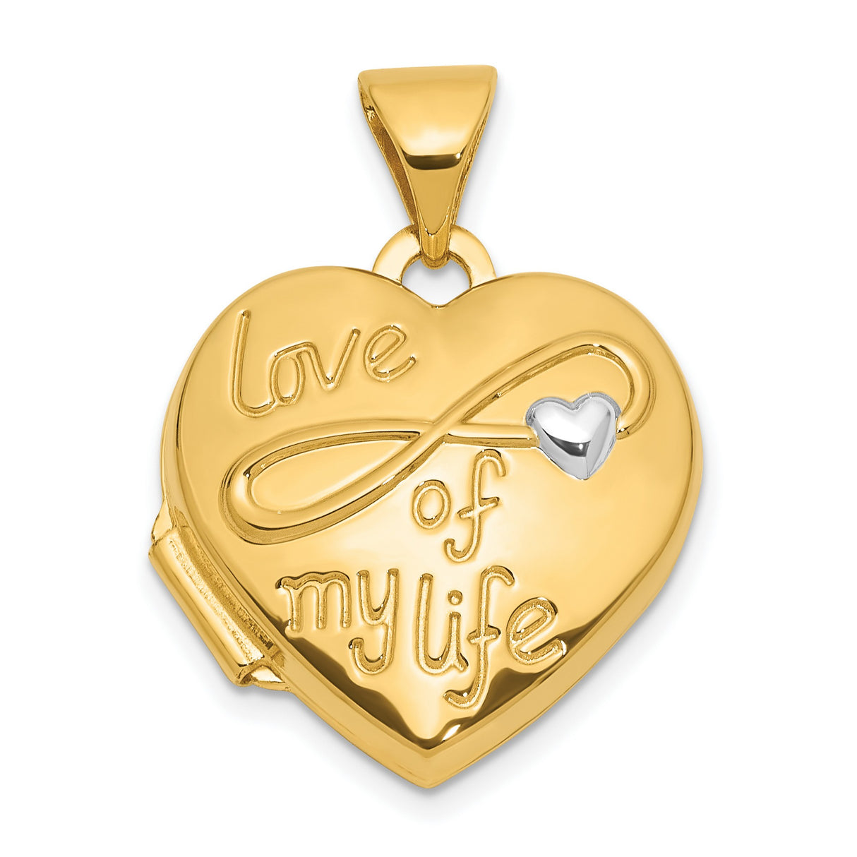 14k Multi-Tone Gold Heart Locket Pendant with Infinity Symbol, Love of My Life Design