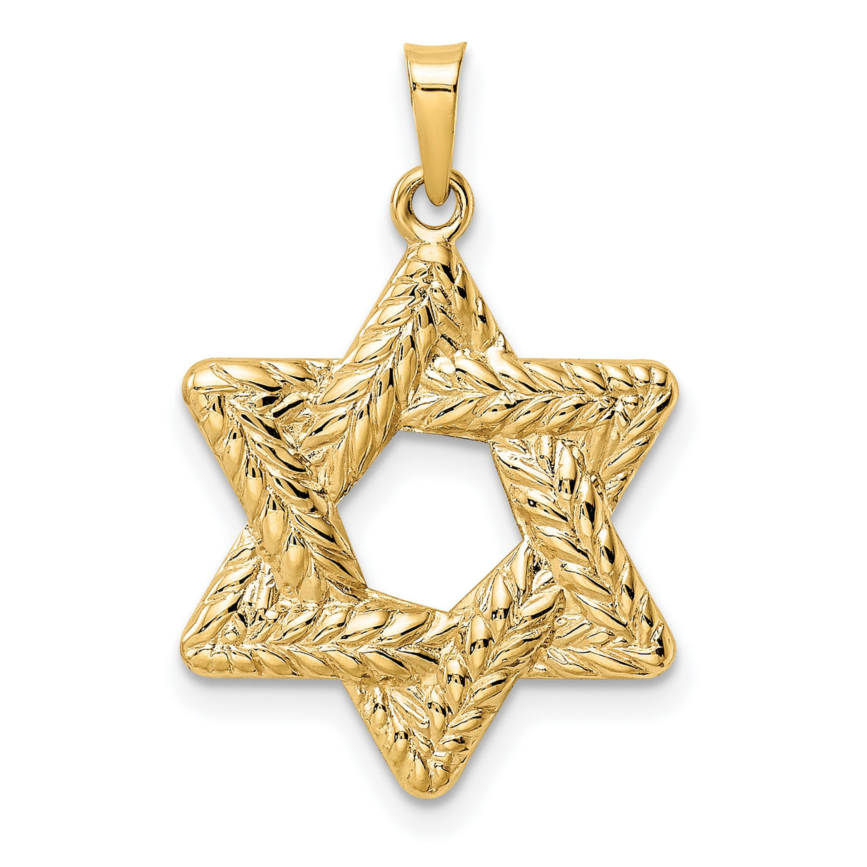 14k Yellow Gold Star of David Pendant with Textured Leaf Design, Jewish Symbol Jewelry