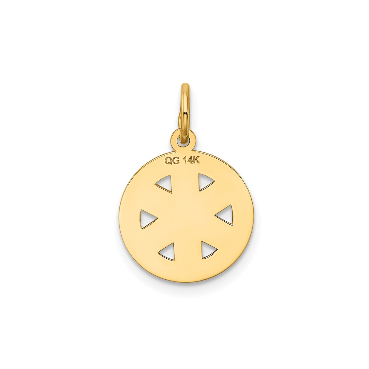 14k Yellow Gold EMT Pendant with Star of Life and Rod of Asclepius Symbol