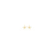 10k Yellow Gold Starfish Stud Earrings, Polished Sea Life Design, Nautical Theme Jewelry for Women