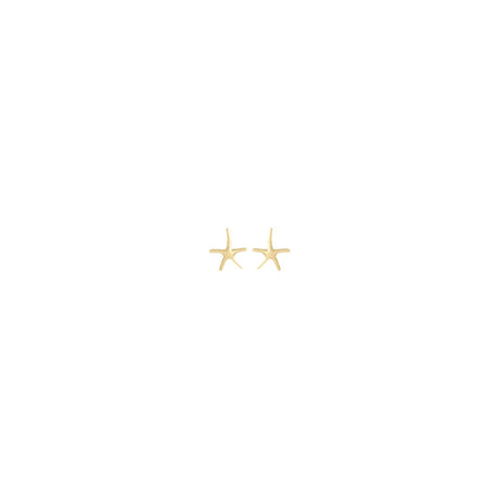 10k Yellow Gold Starfish Stud Earrings, Polished Sea Life Design, Nautical Theme Jewelry for Women