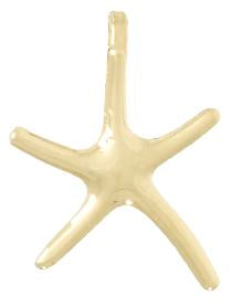 10k Yellow Gold Starfish Pendant, Sleek Polished Nautical Charm for Women or Unisex Wear