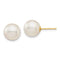 Ball & Button Earrings