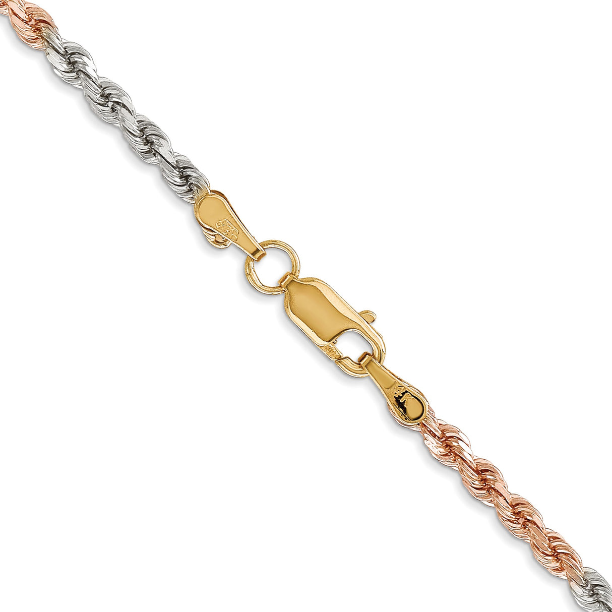 14K Tri-color Gold 2.9 mm Rope Chain Necklace, Polished alternate angle