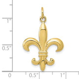 10k Yellow Gold Fleur de Lis Pendant, French Lily Symbol Charm, Vintage and Spiritual Design