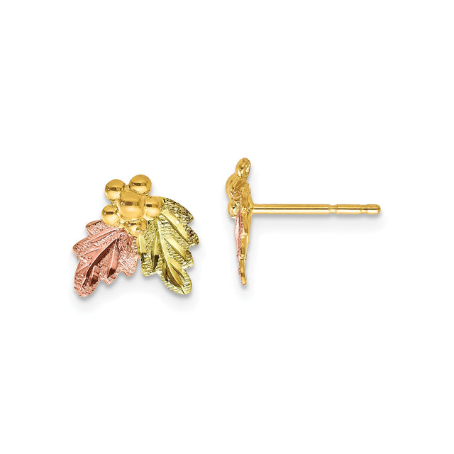 10k Tri-Color Gold Stud Earrings with Leaf and Grape Cluster Design for Women
