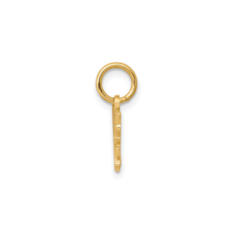 10k Yellow Gold Charm Pendant, Little Princess Tiara Crown Design for Girls