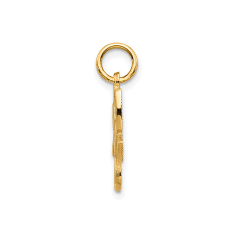10k Yellow Gold Baby Girl Pendant with Crown Accent, Script Name Charm