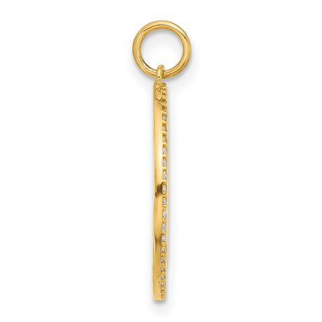 Polished Colorful CZ Good Luck Medallion Charm Pendant in Real 10k Yellow Gold